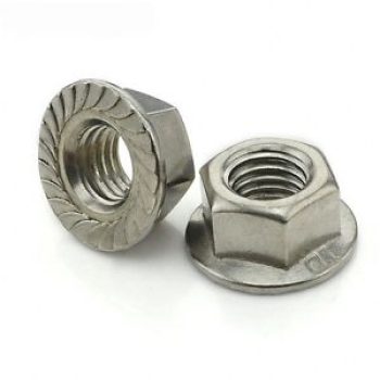 Flange Nuts Manufacturers in Lahore